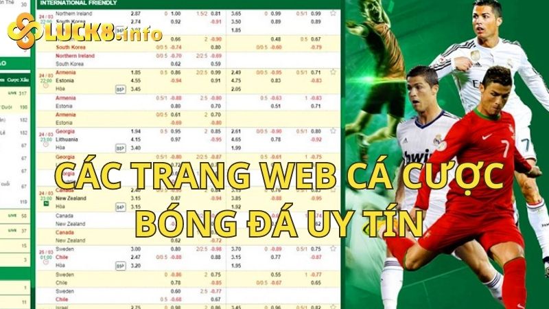 Top các trang web cá cược bóng đá uy tín mà bạn nên tham gia