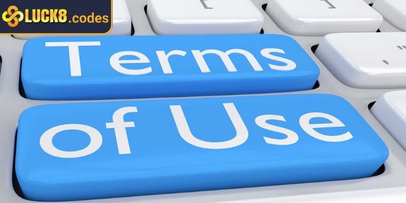 Điều khoản sử dụng 3 Nghiêm cấm mọi hành vi gian lận trên web cược